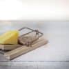 12 Tips for Keeping Rats Out of Your Shed